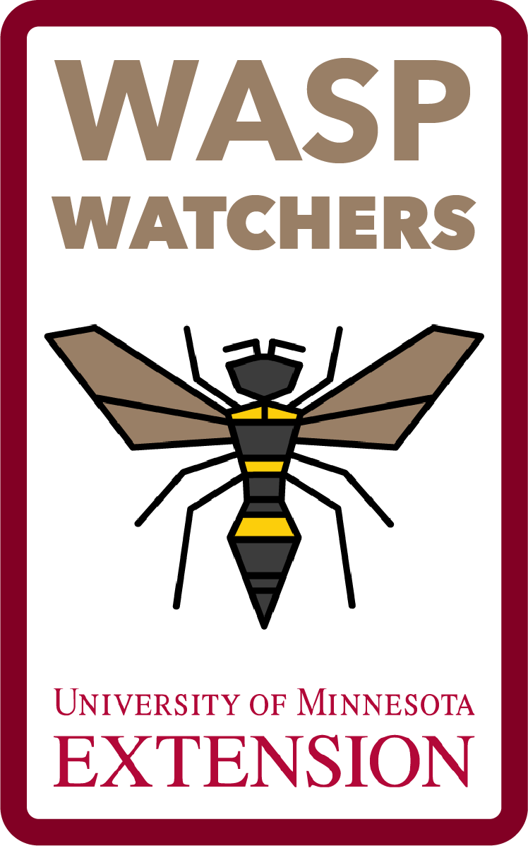 Wasp Watchers artwork