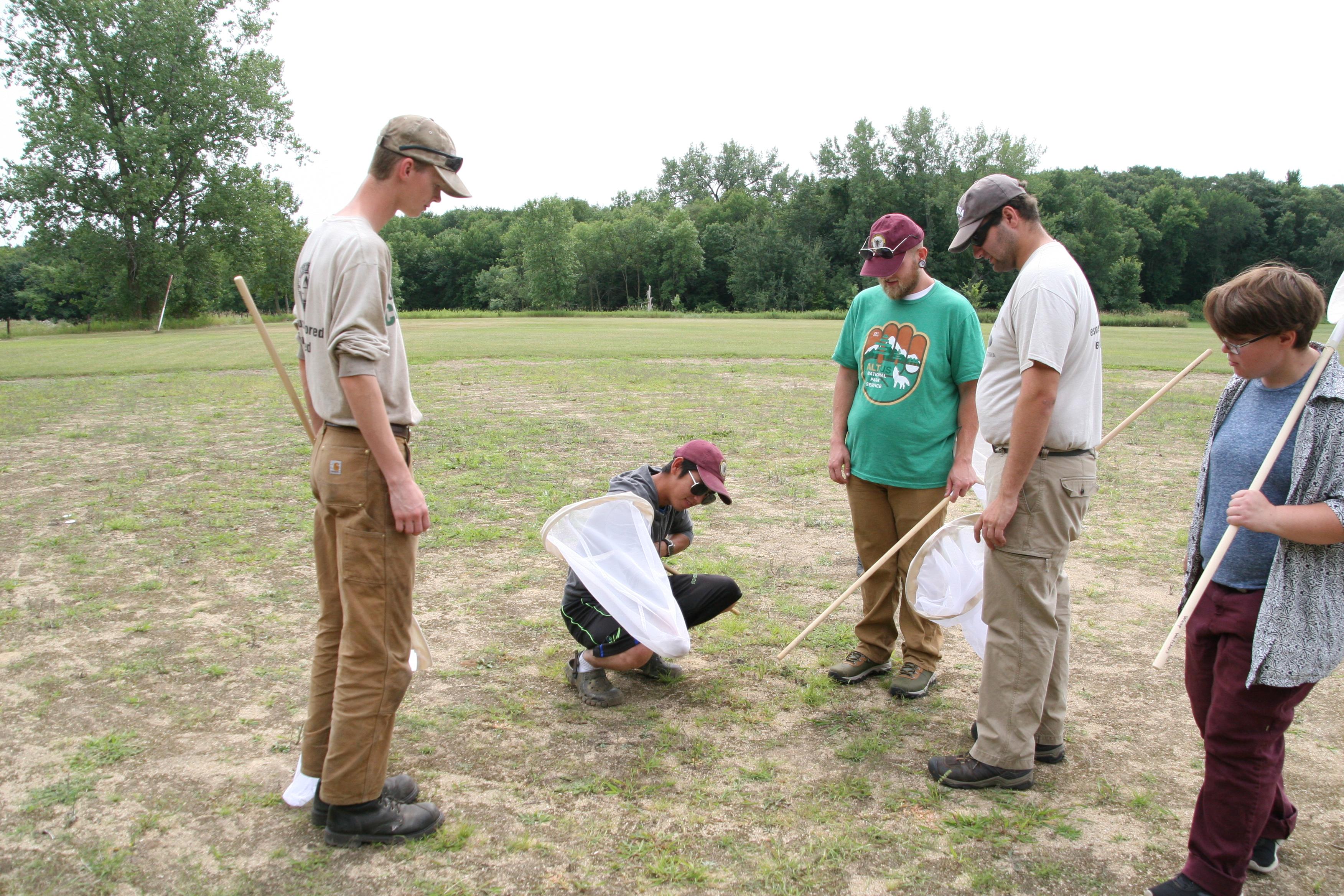 Volunteers conducting biosurveillance